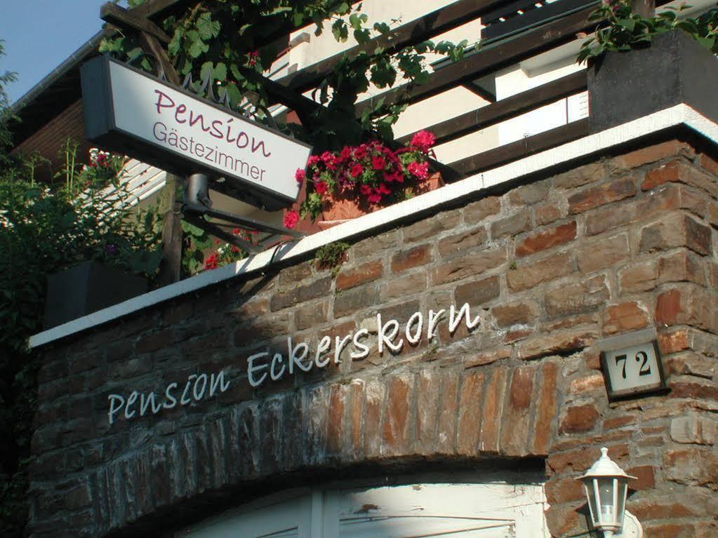 Haus Uebernachtenswert Cochem Mosel Екстериор снимка